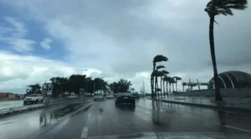 الأرصاد تحذر من رياح مثيرة للرمال وانخفاض الرؤية في مناطق عدة